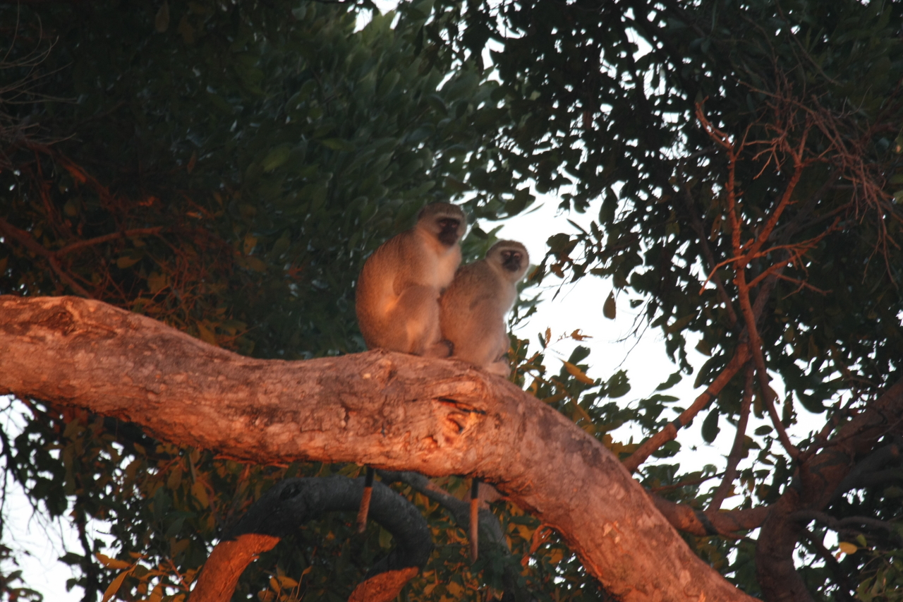 [17514] 2016_06_28_01_05_19_Africa_Canon_EOS_40D_IMG__09870.jpg