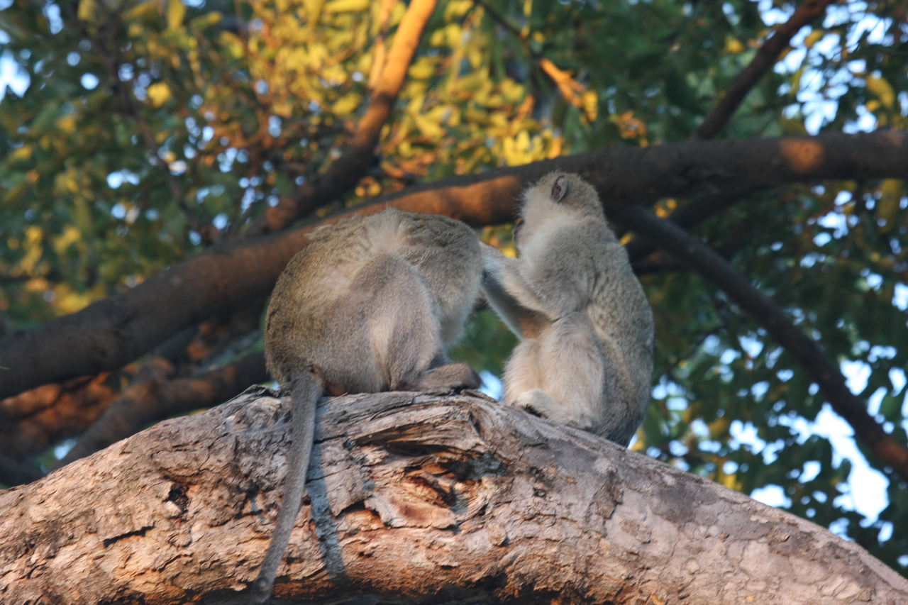 [17572] 2016_06_28_01_10_44_Africa_Canon_EOS_40D_IMG__10047.jpg