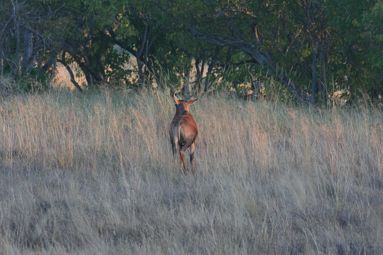 [17590] 2016_06_28_01_12_53_Africa_Canon_EOS_40D_IMG__10092.jpg