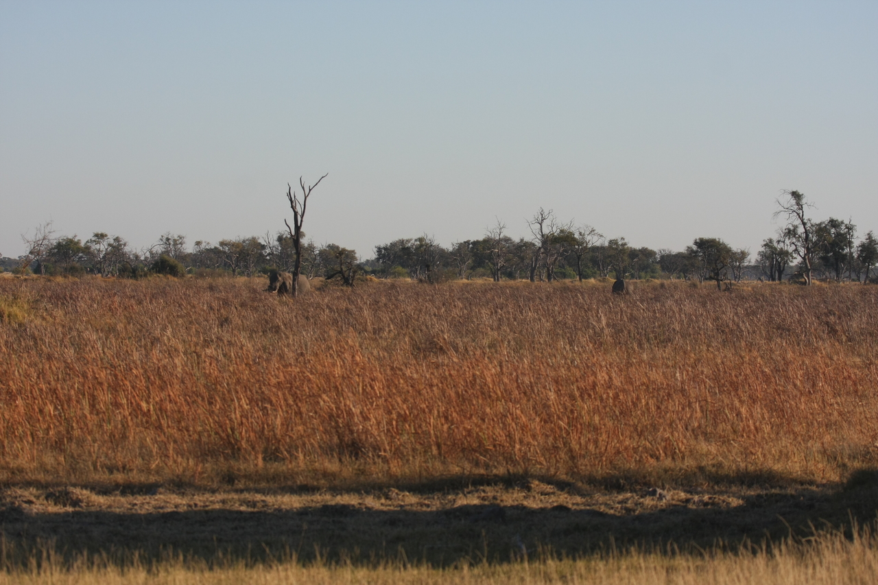 [17732] 2016_06_28_01_46_02_Africa_Canon_EOS_40D_IMG__10514.jpg