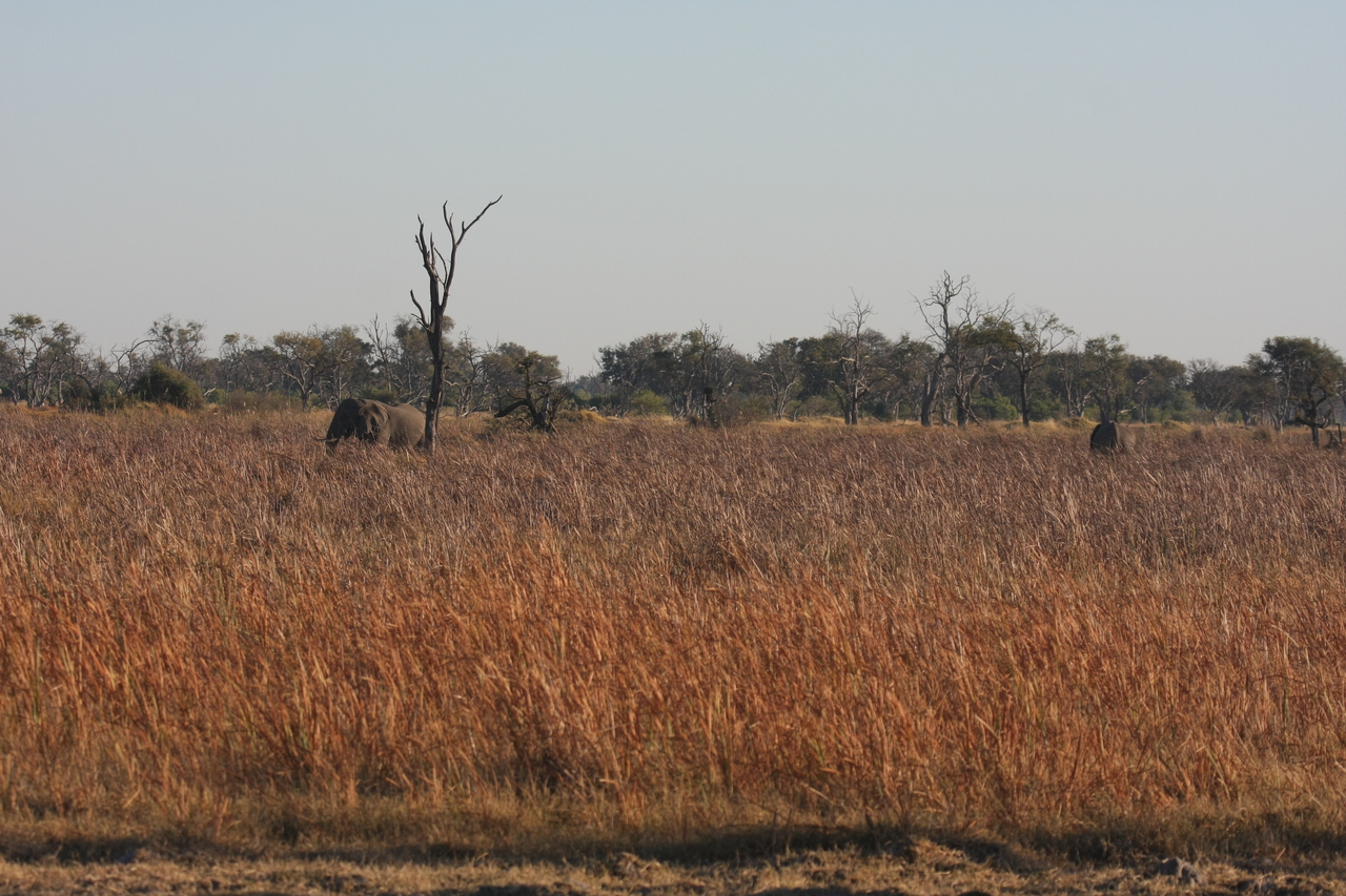 [17733] 2016_06_28_01_46_17_Africa_Canon_EOS_40D_IMG__00691.jpg