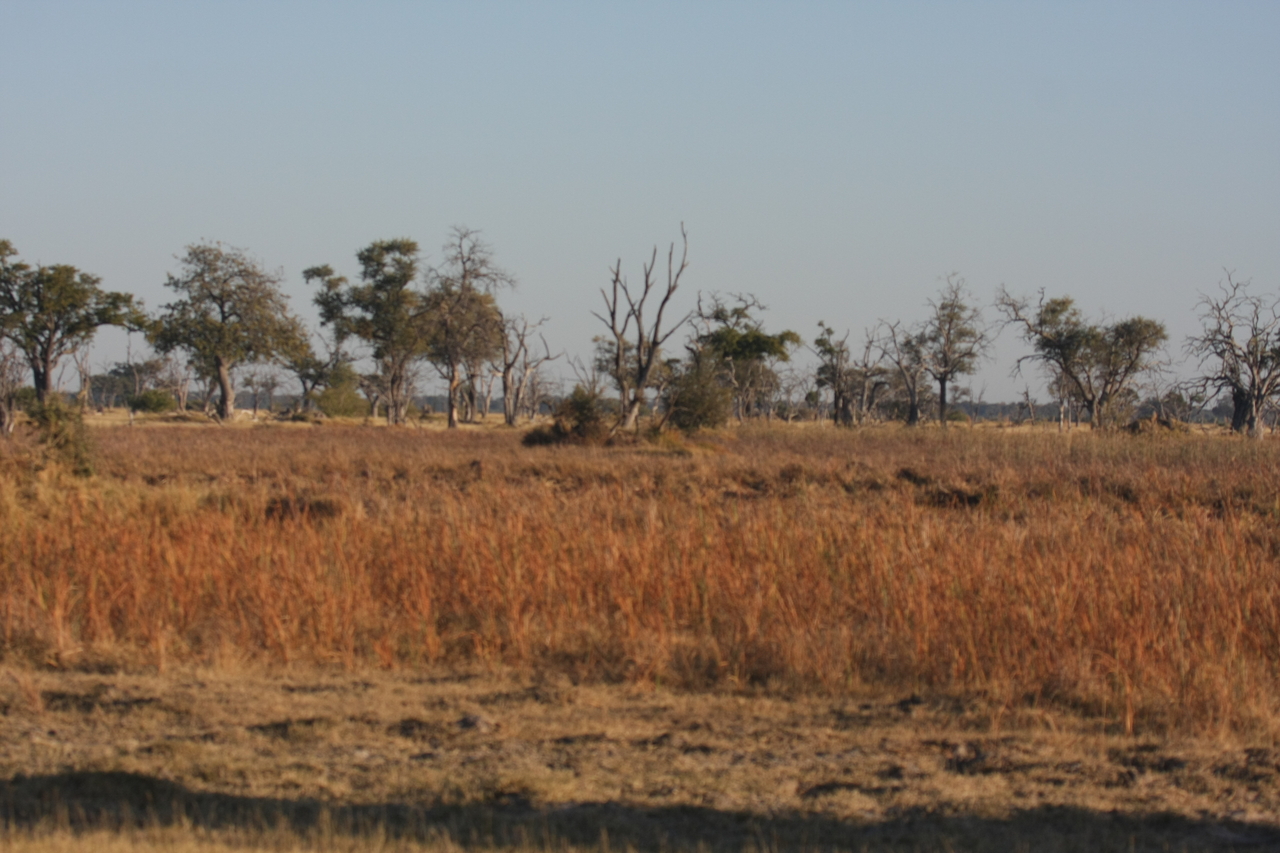 [17746] 2016_06_28_01_46_42_Africa_Canon_EOS_40D_IMG__03122.jpg