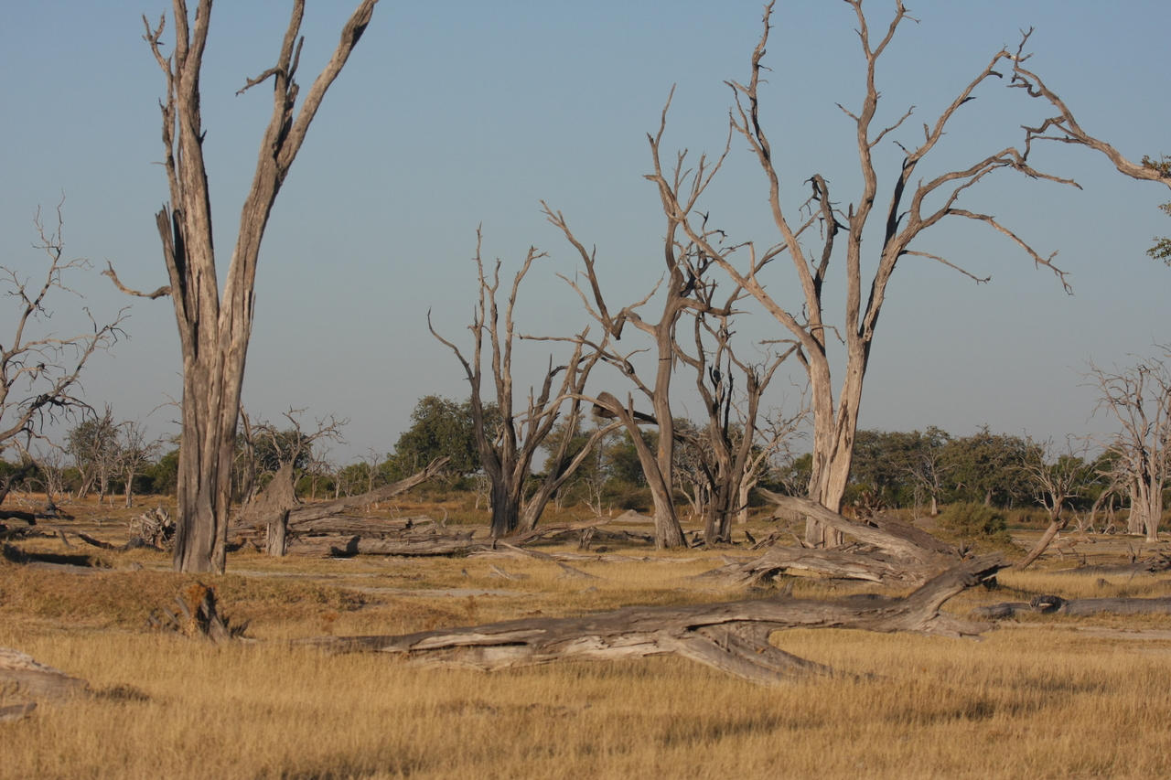 [17752] 2016_06_28_01_47_01_Africa_Canon_EOS_40D_IMG__10580.jpg