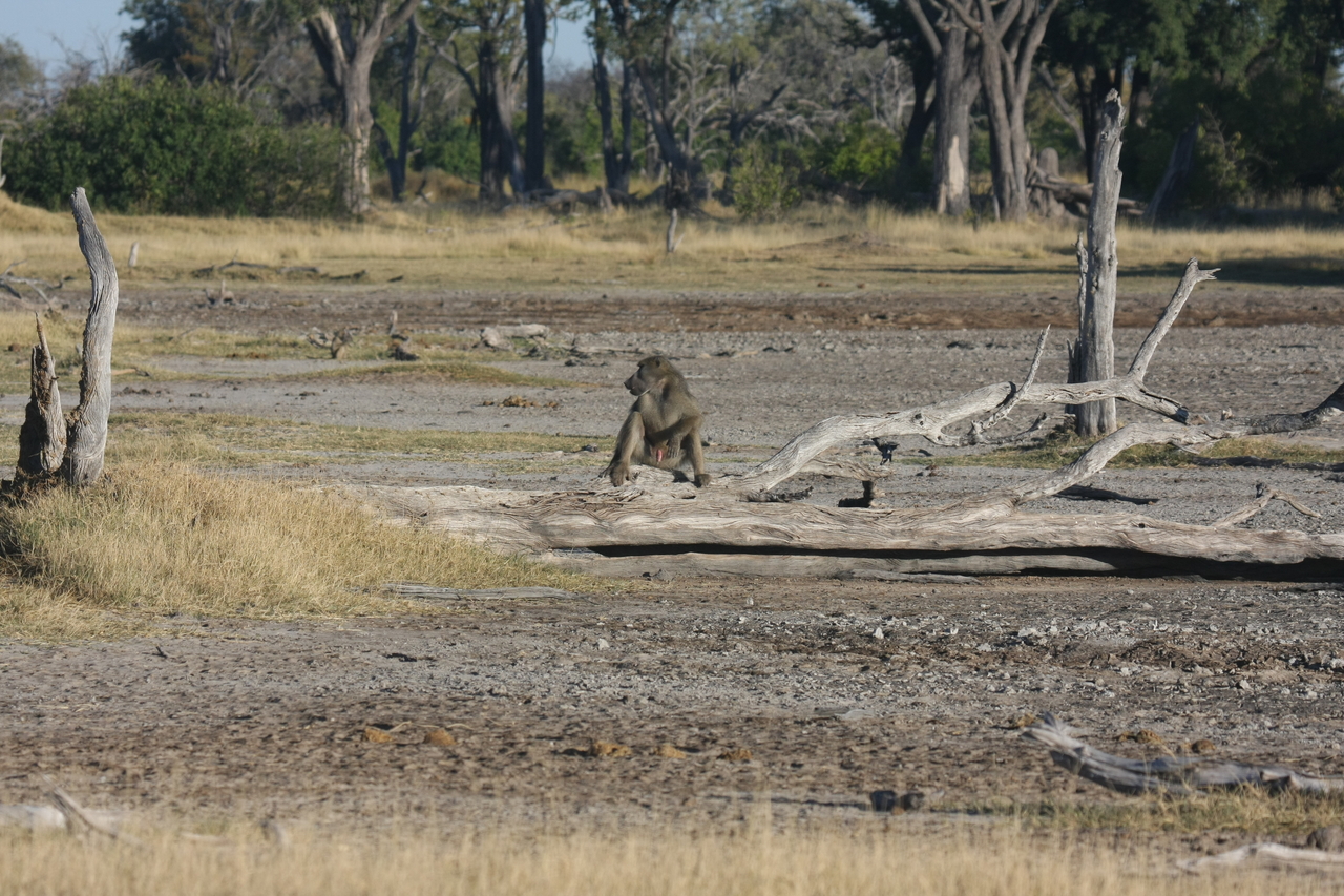 [17759] 2016_06_28_01_59_00_Africa_Canon_EOS_40D_IMG__03167.jpg