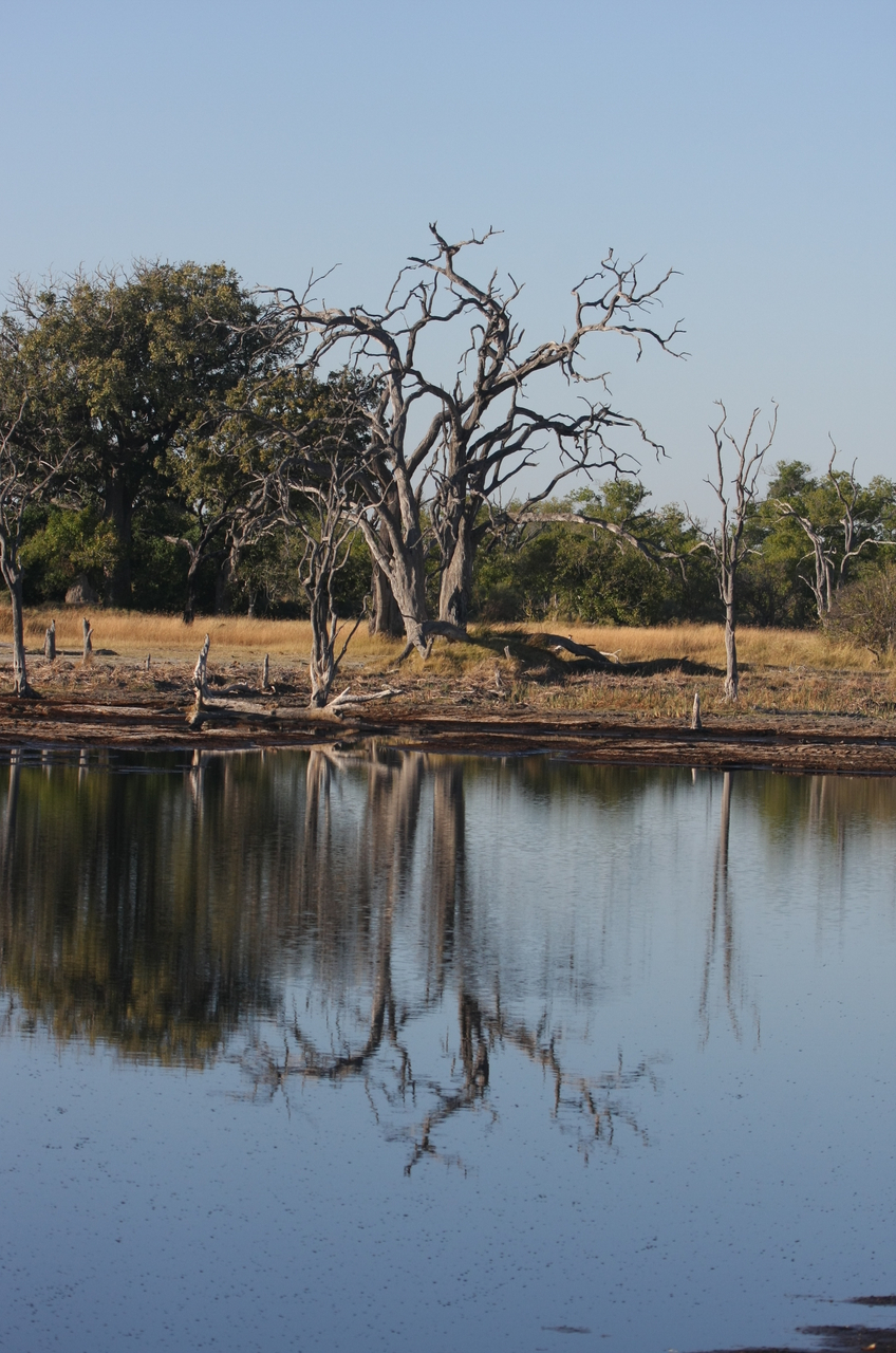 [17796] 2016_06_28_02_05_00_Africa_Canon_EOS_40D_IMG__00849.jpg