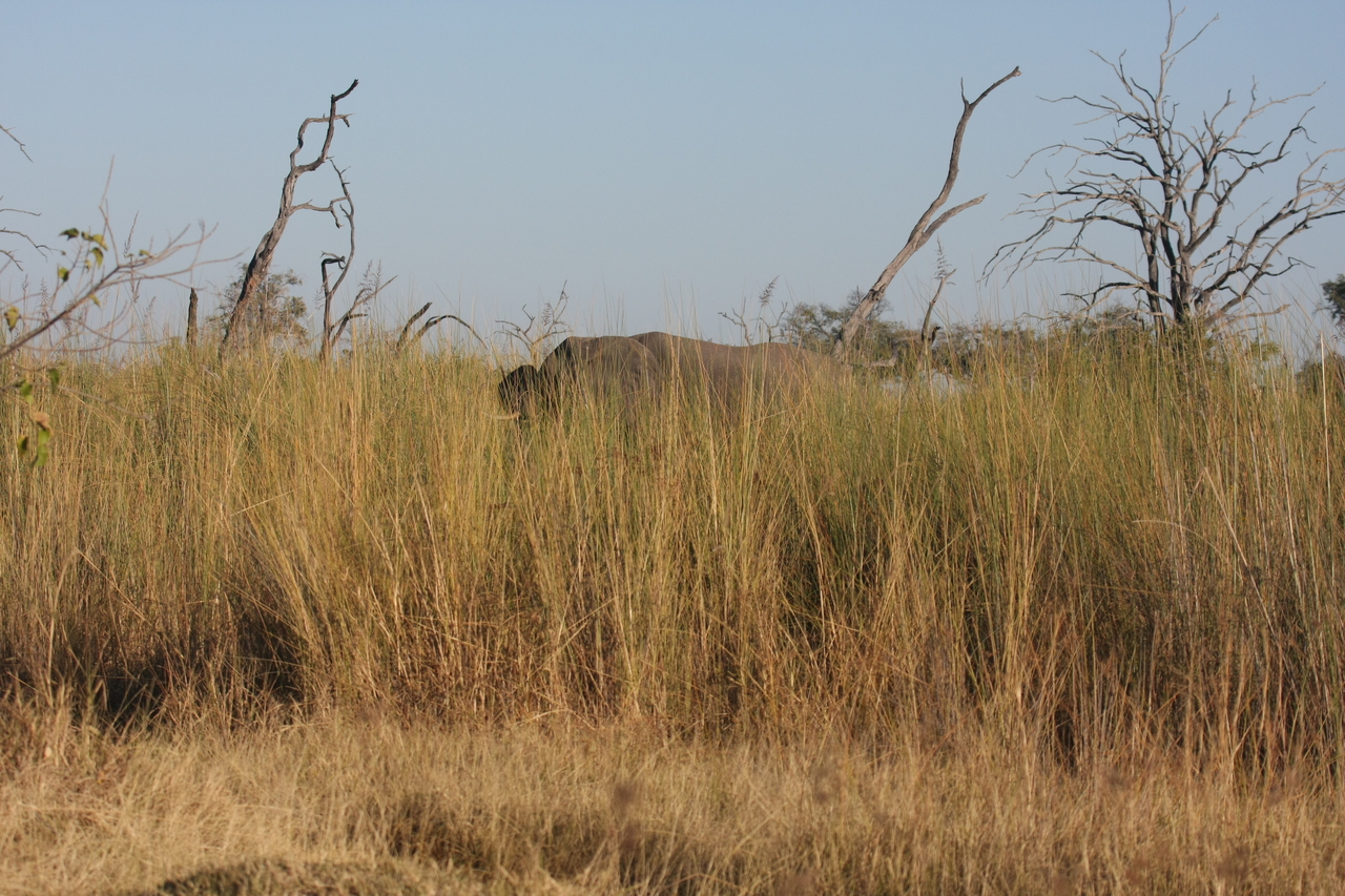 [17803] 2016_06_28_02_08_42_Africa_Canon_EOS_40D_IMG__03238.jpg