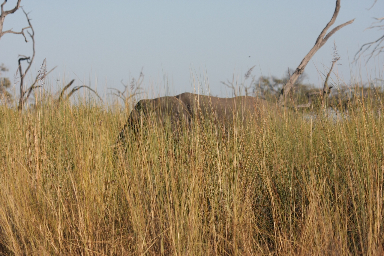 [17810] 2016_06_28_02_08_50_Africa_Canon_EOS_40D_IMG__10687.jpg