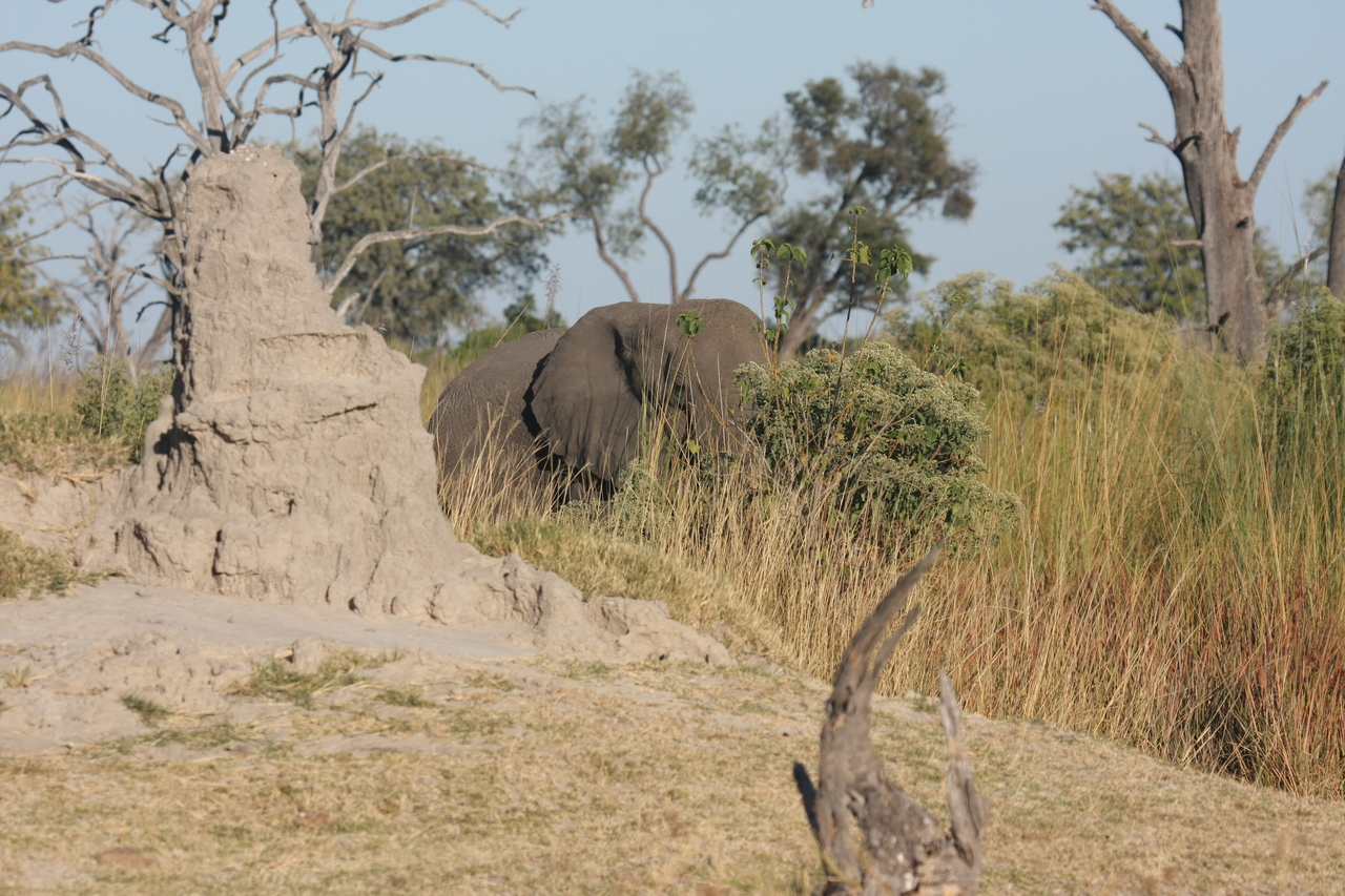 [17841] 2016_06_28_02_11_44_Africa_Canon_EOS_40D_IMG__00012.jpg