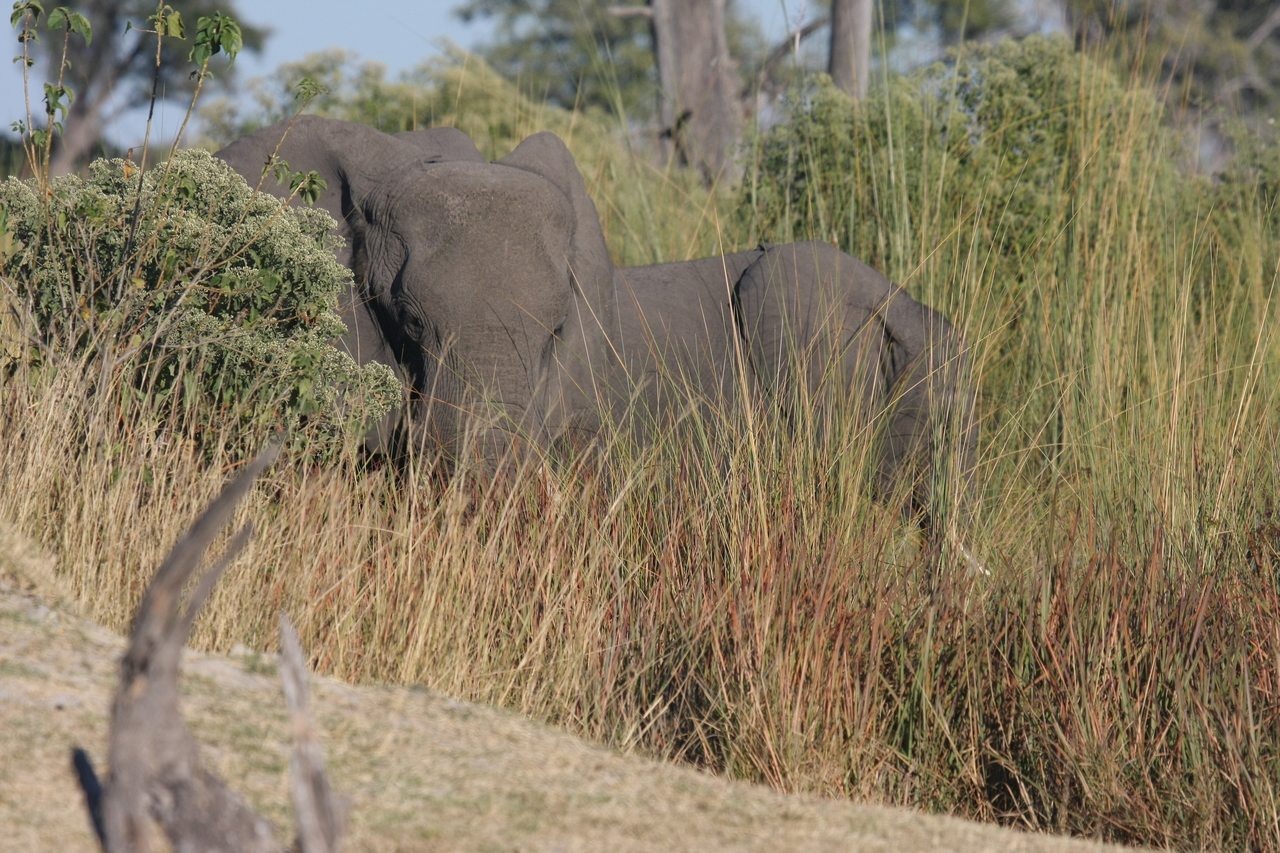 [17872] 2016_06_28_02_14_03_Africa_Canon_EOS_40D_IMG__09856.jpg