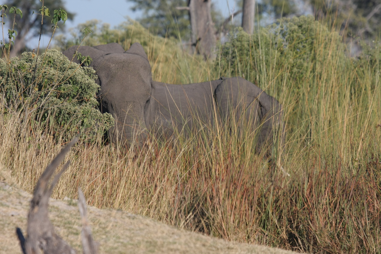 [17875] 2016_06_28_02_14_04_Africa_Canon_EOS_40D_IMG__02411.jpg