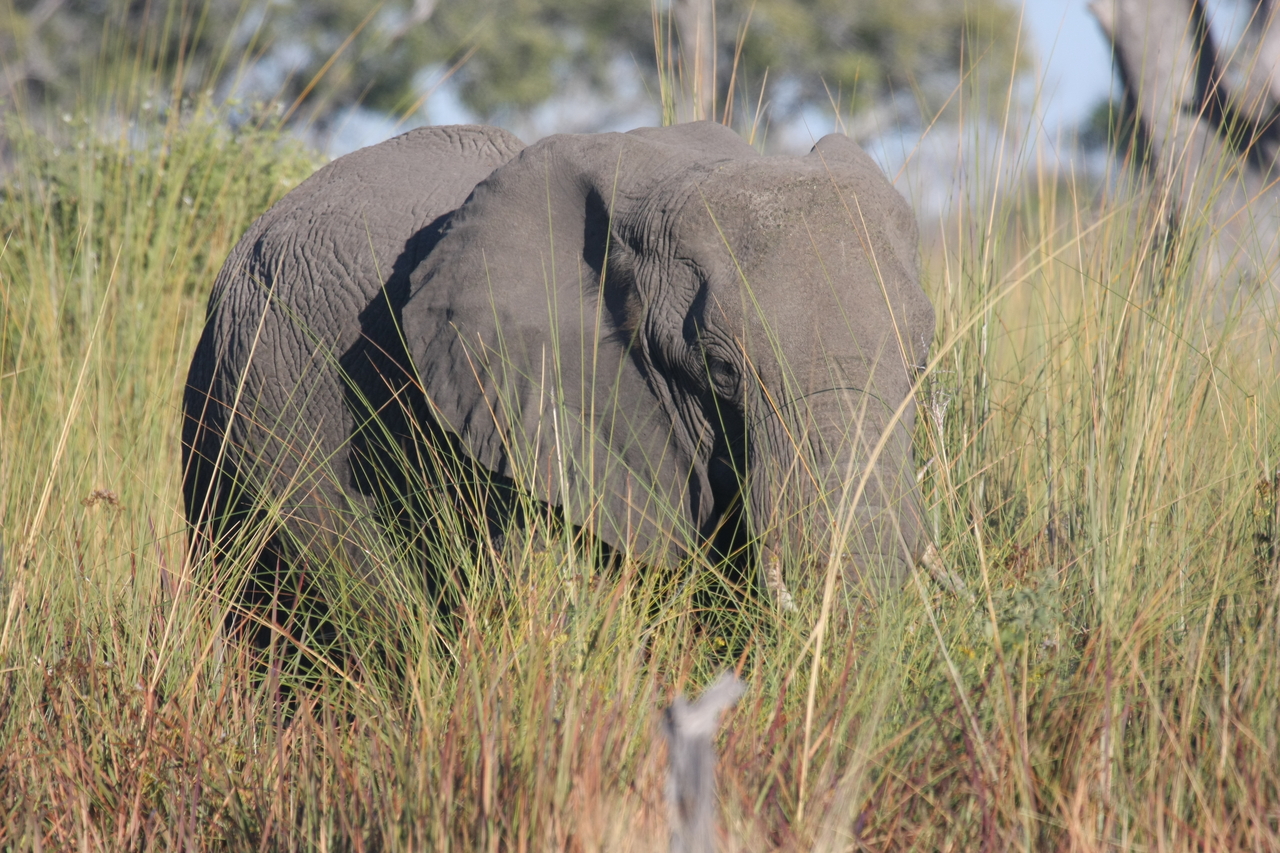 [17893] 2016_06_28_02_16_20_Africa_Canon_EOS_40D_IMG__09864.jpg