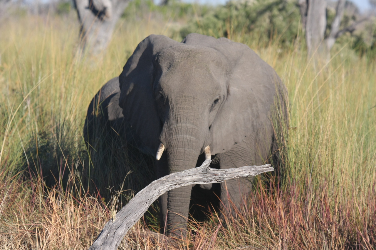 [17988] 2016_06_28_02_19_22_Africa_Canon_EOS_40D_IMG__00066.jpg