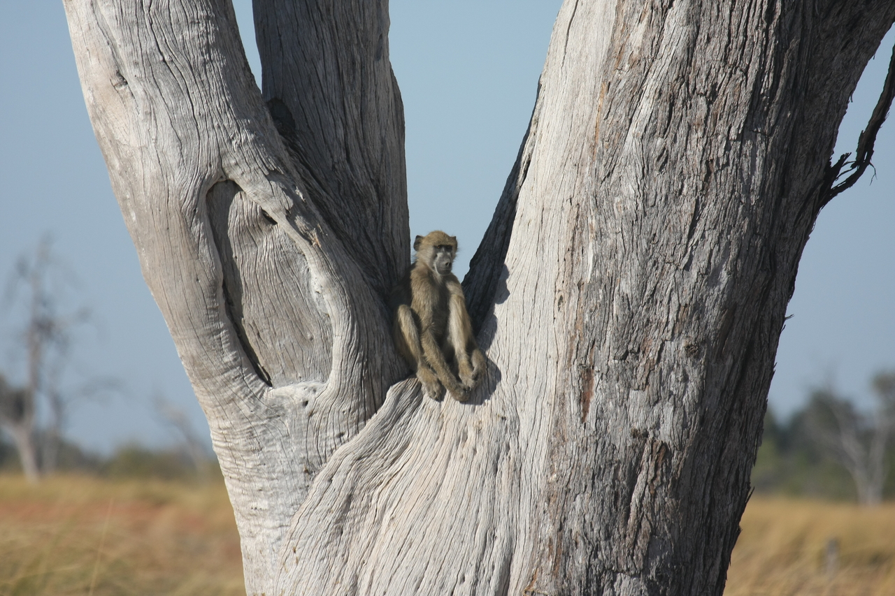 [18213] 2016_06_28_02_44_48_Africa_Canon_EOS_40D_IMG__00150.jpg