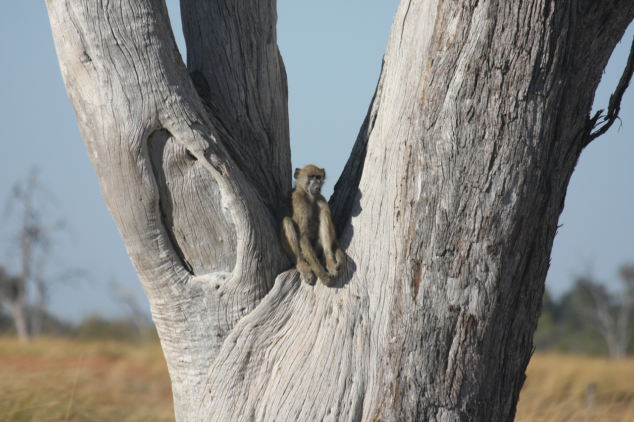 [18214] 2016_06_28_02_44_48_Africa_Canon_EOS_40D_IMG__00151.jpg
