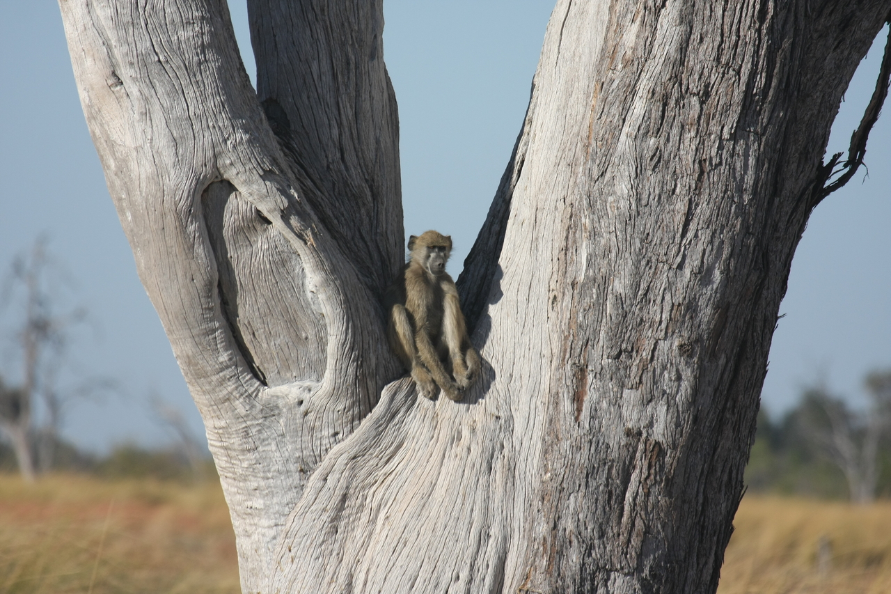 [18215] 2016_06_28_02_44_48_Africa_Canon_EOS_40D_IMG__00152.jpg