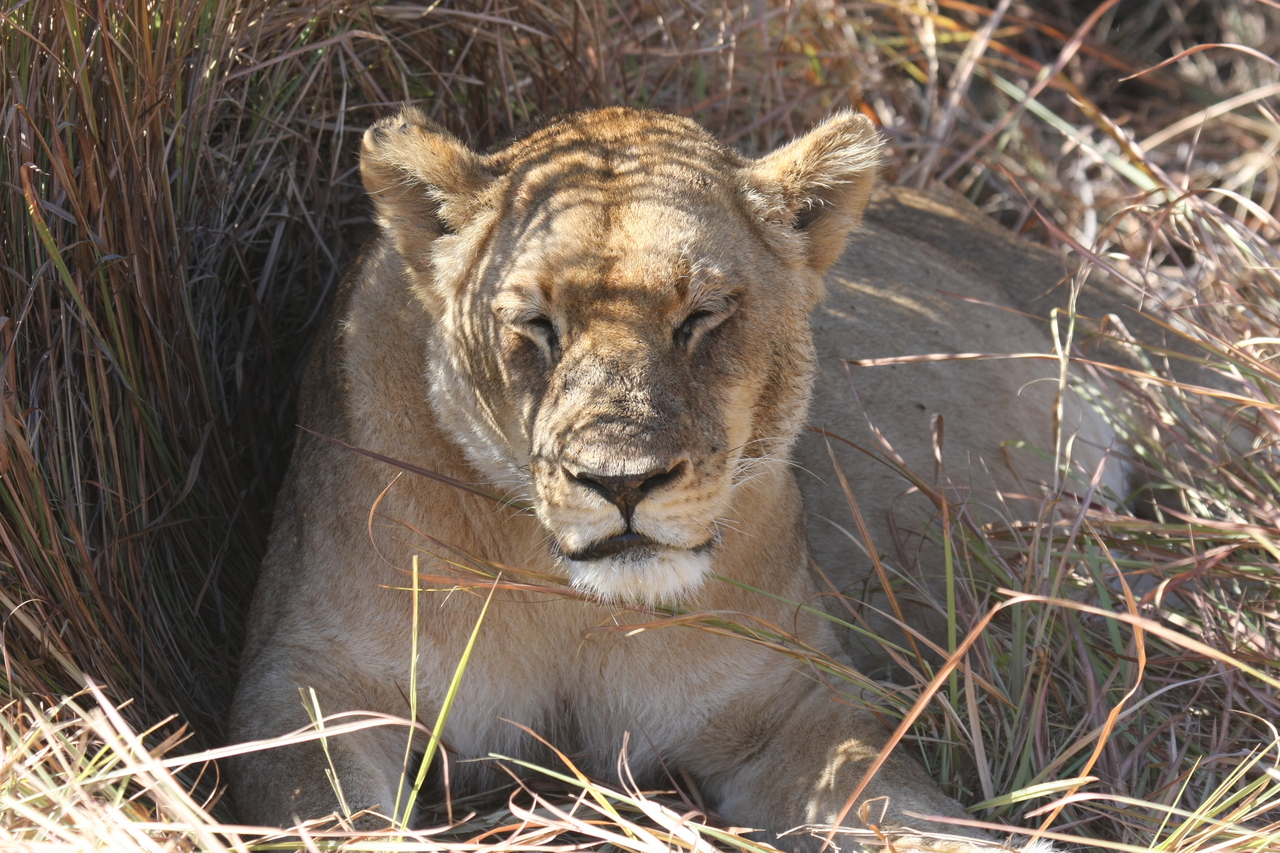 [18618] 2016_06_28_04_03_35_Africa_Canon_EOS_40D_IMG__00299.jpg