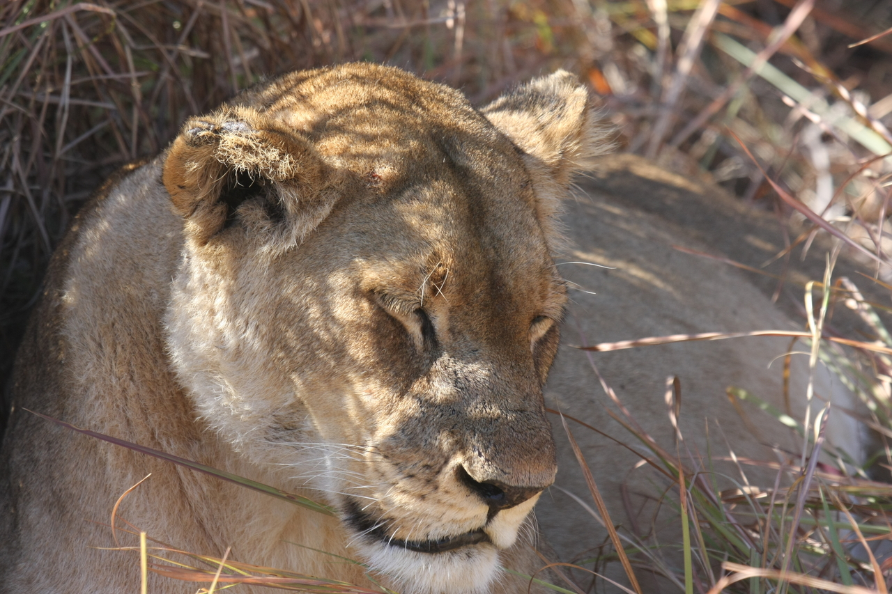 [18637] 2016_06_28_04_04_08_Africa_Canon_EOS_40D_IMG__00307.jpg