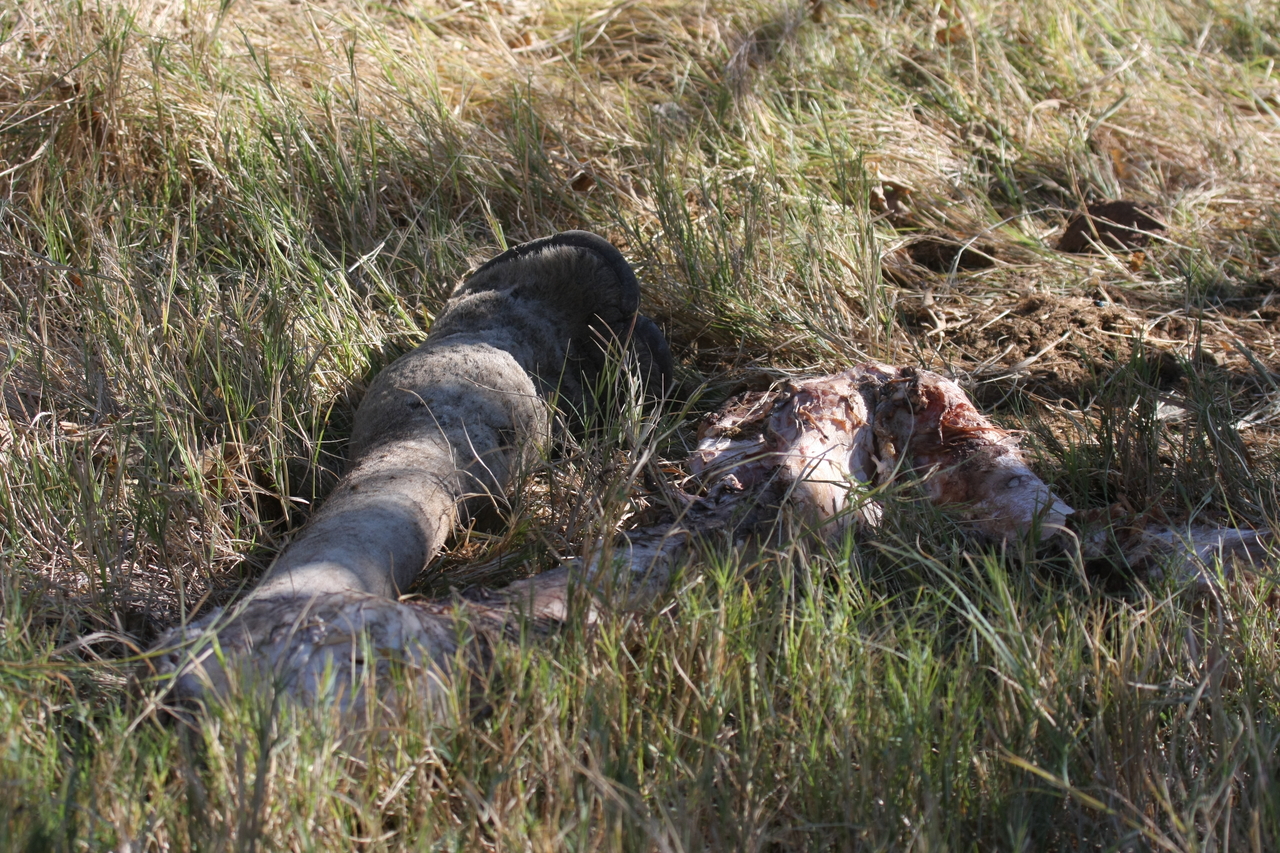 [18659] 2016_06_28_04_14_37_Africa_Canon_EOS_40D_IMG__00316.jpg