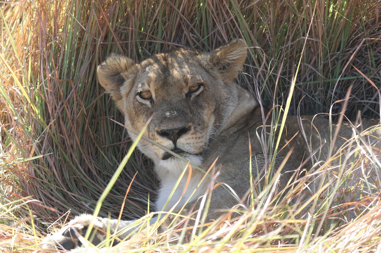 [18666] 2016_06_28_04_15_42_Africa_Canon_EOS_40D_IMG__00317.jpg