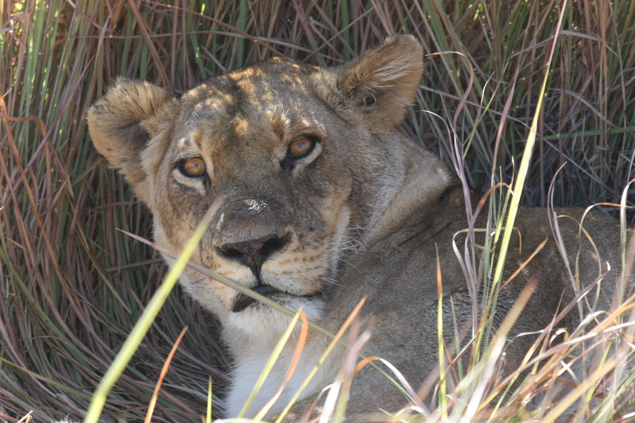 [18675] 2016_06_28_04_15_45_Africa_Canon_EOS_40D_IMG__02706.jpg