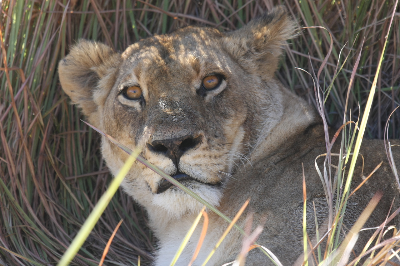 [18691] 2016_06_28_04_15_52_Africa_Canon_EOS_40D_IMG__00327.jpg