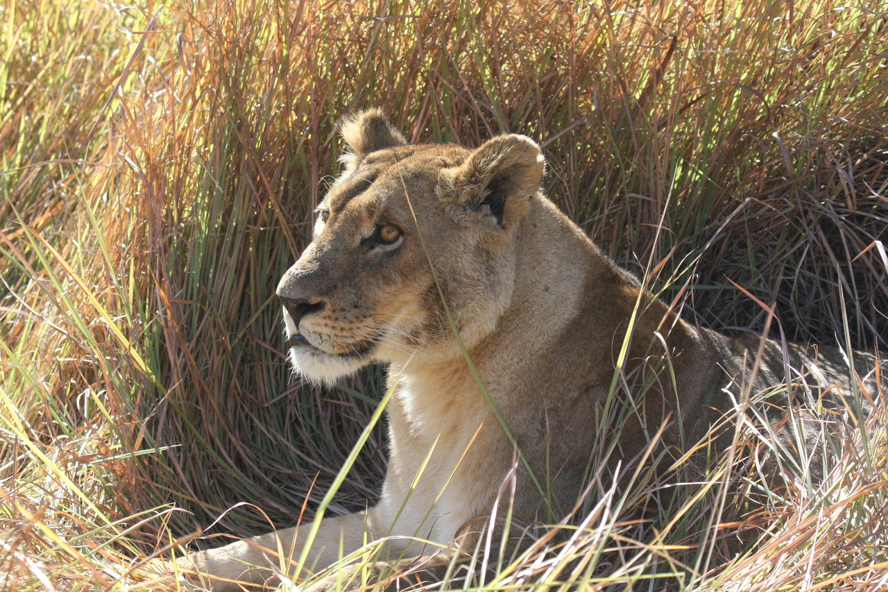 [18747] 2016_06_28_04_17_40_Africa_Canon_EOS_40D_IMG__02733.jpg