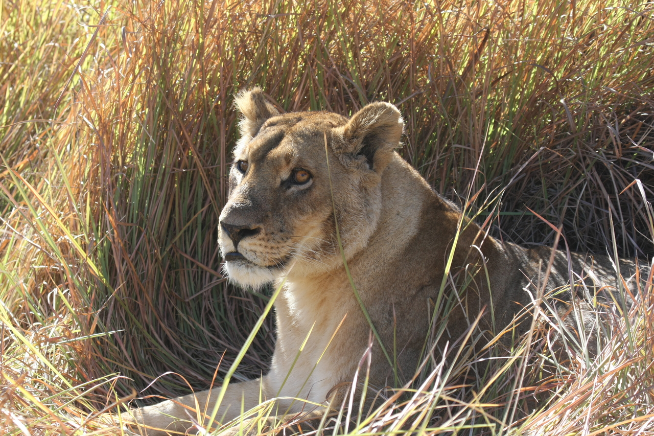 [18748] 2016_06_28_04_17_40_Africa_Canon_EOS_40D_IMG__02735.jpg