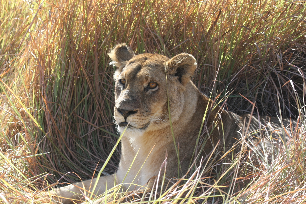 [18763] 2016_06_28_04_17_42_Africa_Canon_EOS_40D_IMG__02740.jpg