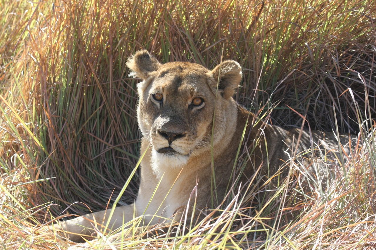 [18779] 2016_06_28_04_17_44_Africa_Canon_EOS_40D_IMG__02746.jpg