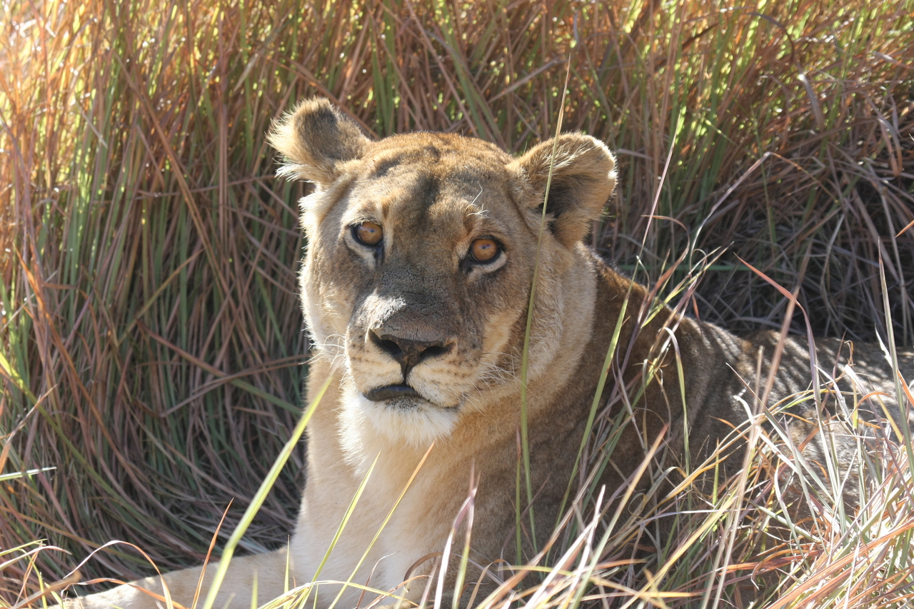 [18791] 2016_06_28_04_17_46_Africa_Canon_EOS_40D_IMG__10197.jpg