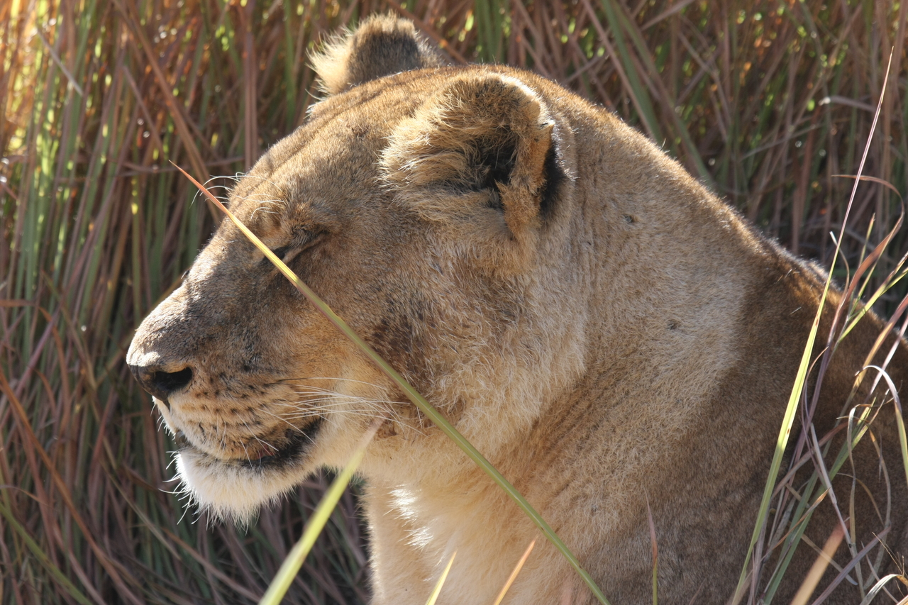 [18807] 2016_06_28_04_18_03_Africa_Canon_EOS_40D_IMG__02755.jpg