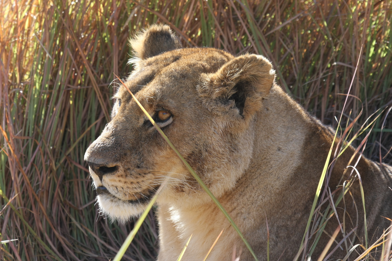 [18818] 2016_06_28_04_18_07_Africa_Canon_EOS_40D_IMG__00373.jpg