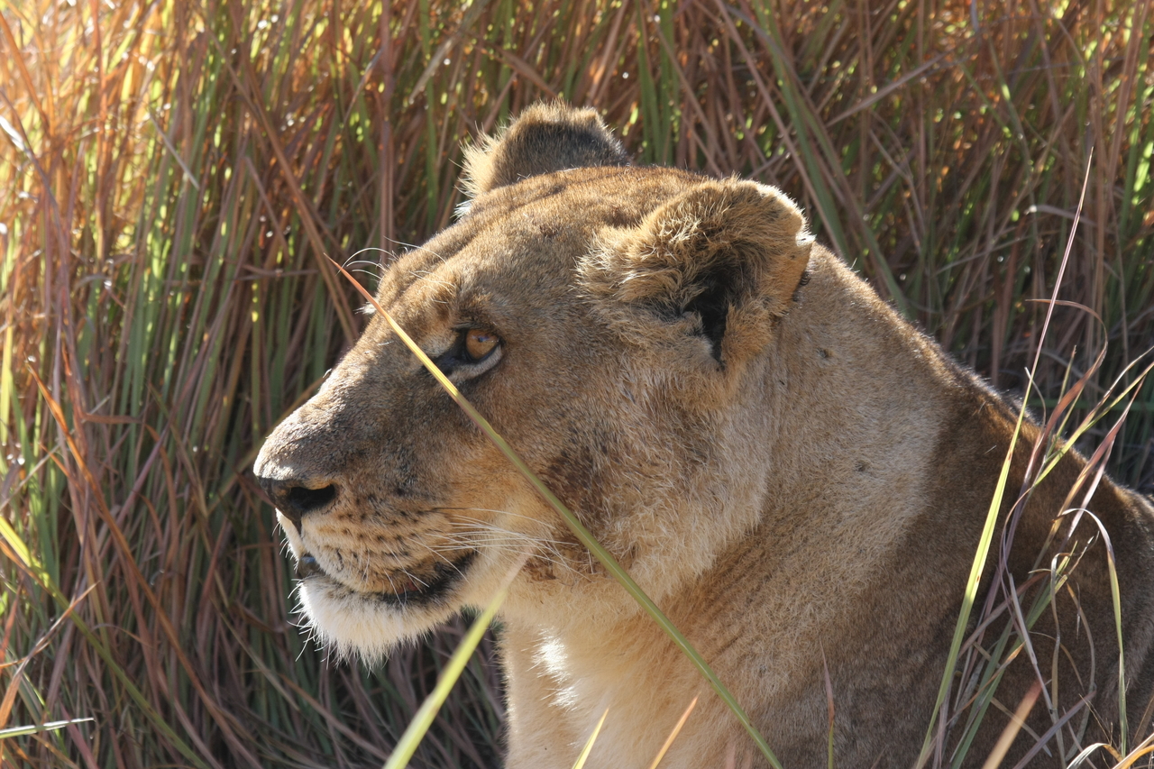 [18830] 2016_06_28_04_18_12_Africa_Canon_EOS_40D_IMG__10209.jpg