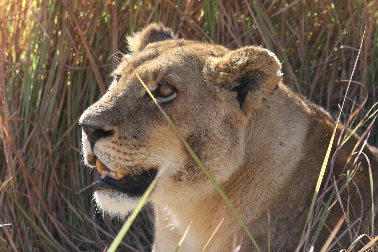 [18843] 2016_06_28_04_18_17_Africa_Canon_EOS_40D_IMG__02768.jpg