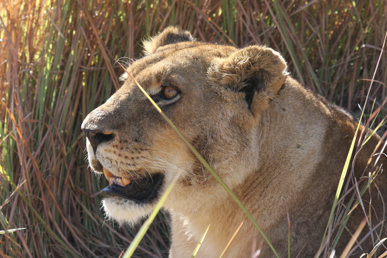 [18856] 2016_06_28_04_18_19_Africa_Canon_EOS_40D_IMG__00386.jpg