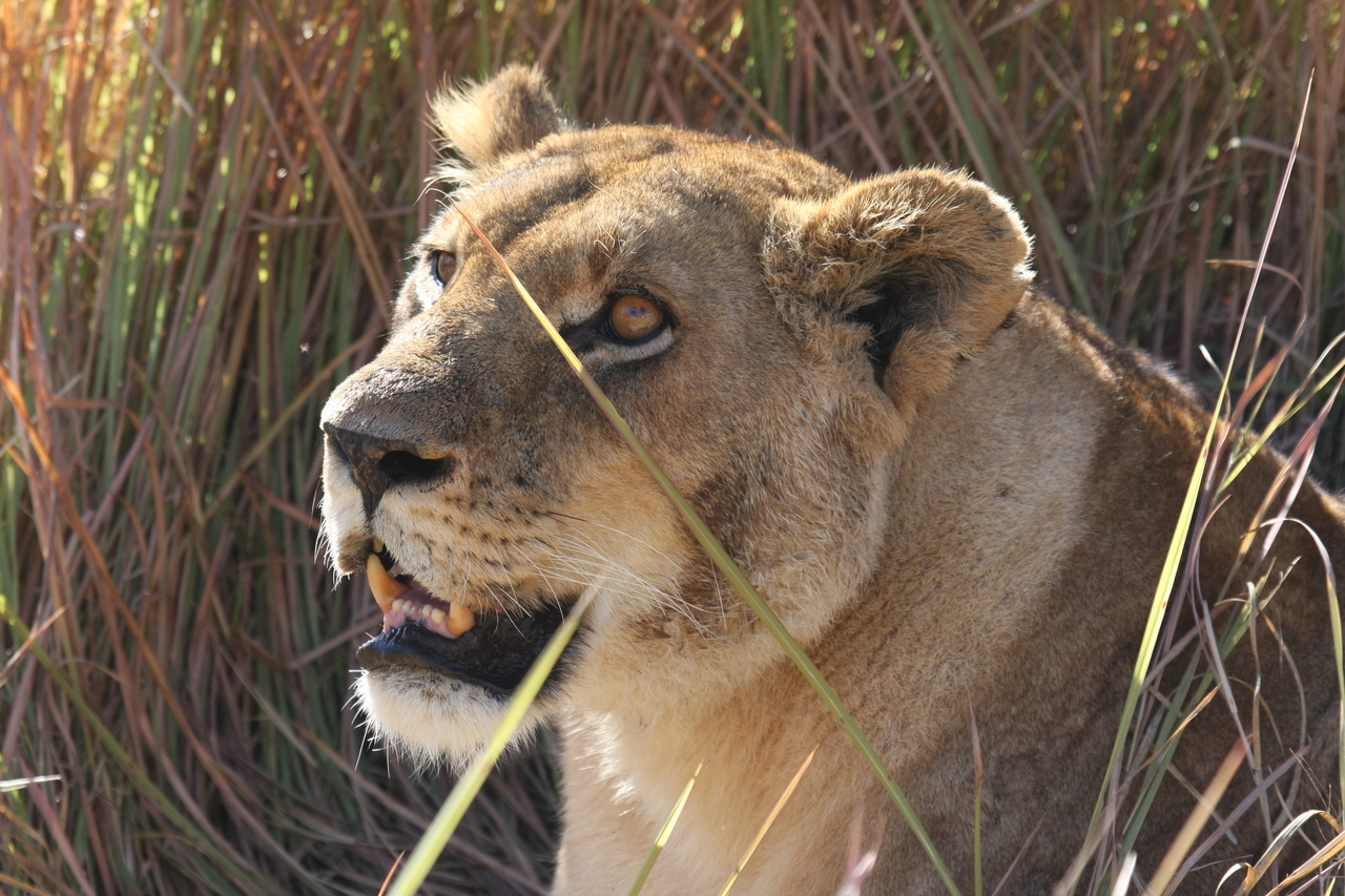 [18864] 2016_06_28_04_18_22_Africa_Canon_EOS_40D_IMG__02776.jpg