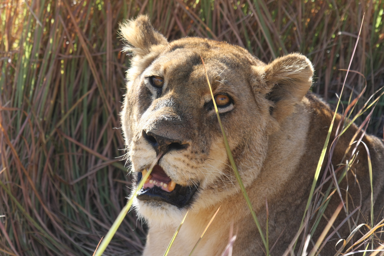 [18868] 2016_06_28_04_18_27_Africa_Canon_EOS_40D_IMG__00390.jpg