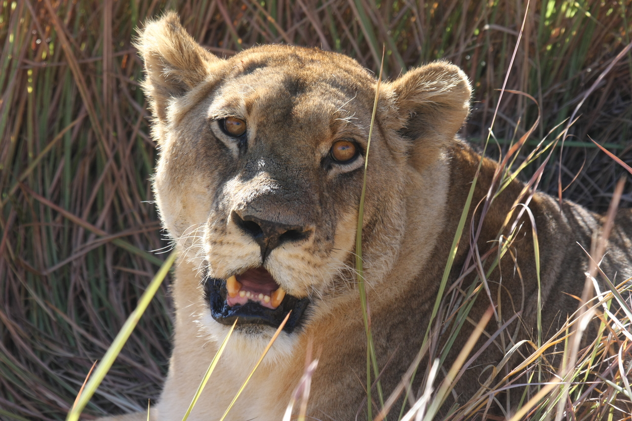 [18881] 2016_06_28_04_18_28_Africa_Canon_EOS_40D_IMG__02782.jpg