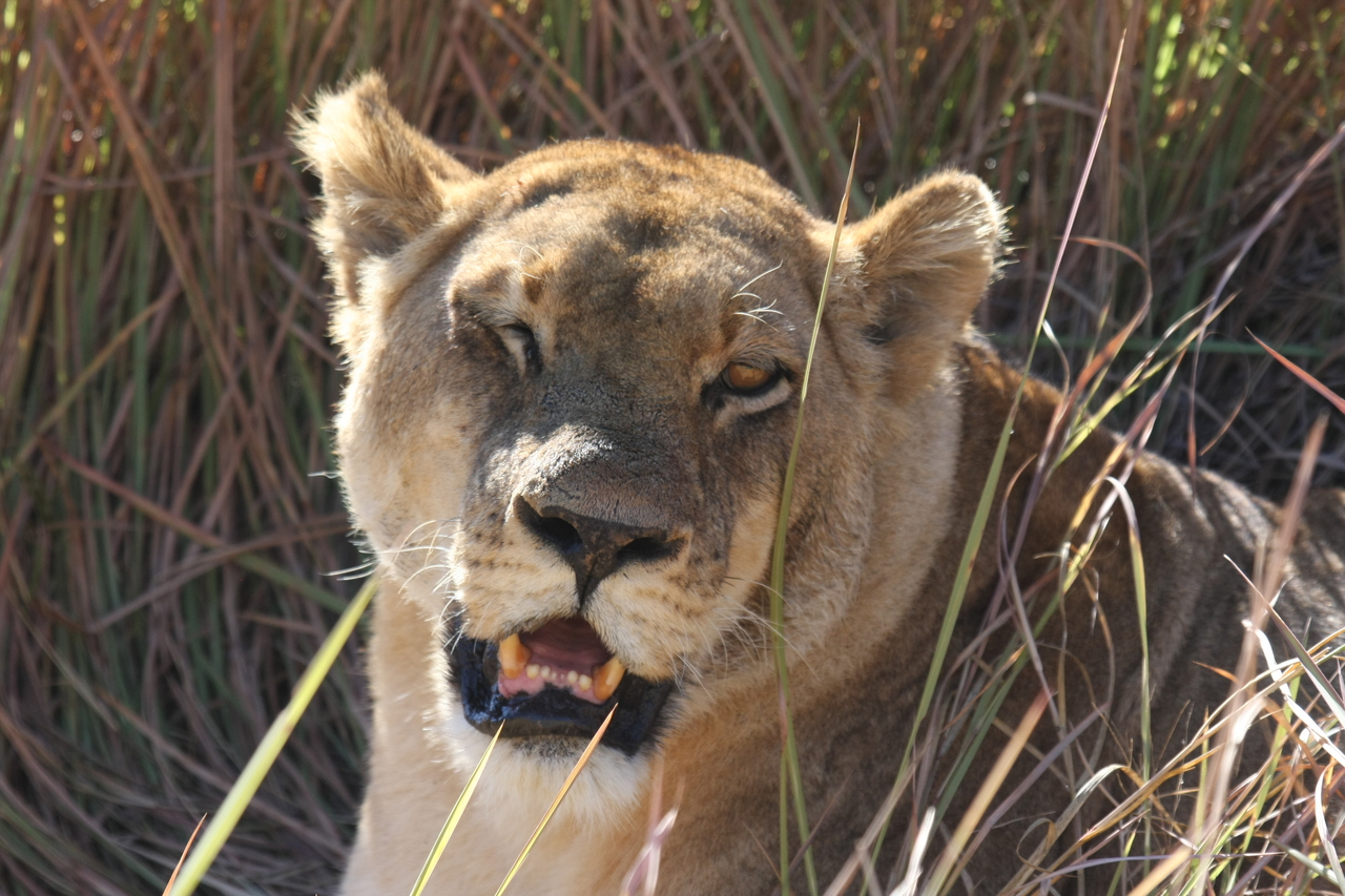 [18889] 2016_06_28_04_18_29_Africa_Canon_EOS_40D_IMG__02784.jpg