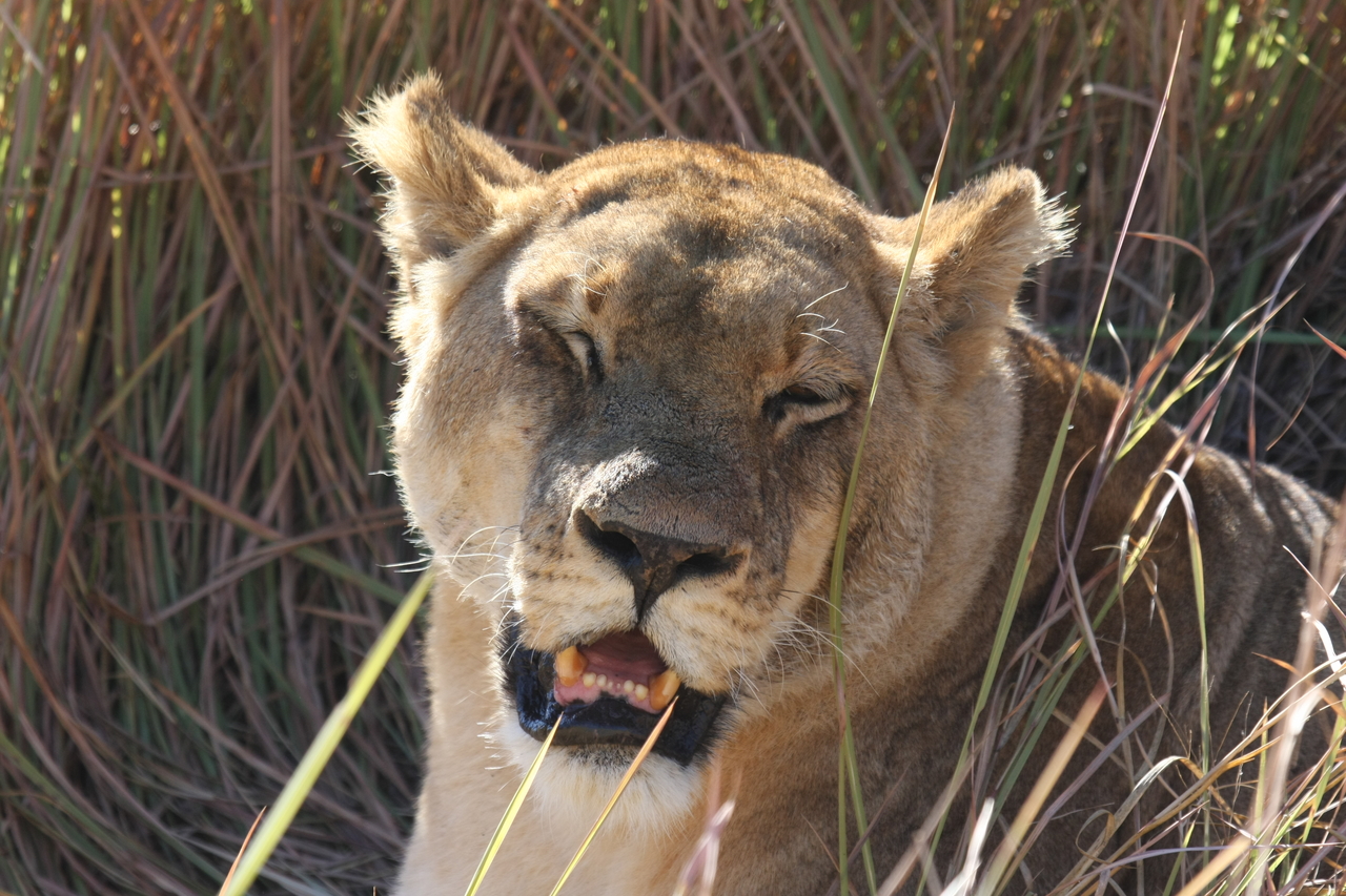 [18896] 2016_06_28_04_18_31_Africa_Canon_EOS_40D_IMG__00401.jpg