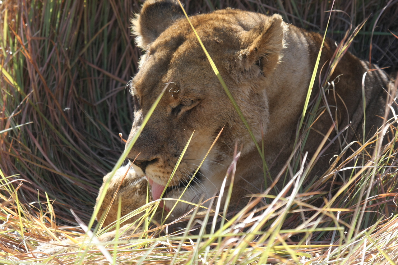 [18911] 2016_06_28_04_18_39_Africa_Canon_EOS_40D_IMG__00407.jpg