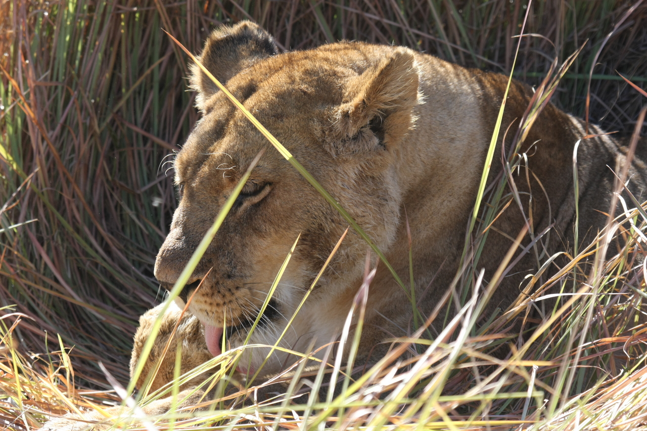 [18916] 2016_06_28_04_18_39_Africa_Canon_EOS_40D_IMG__10240.jpg