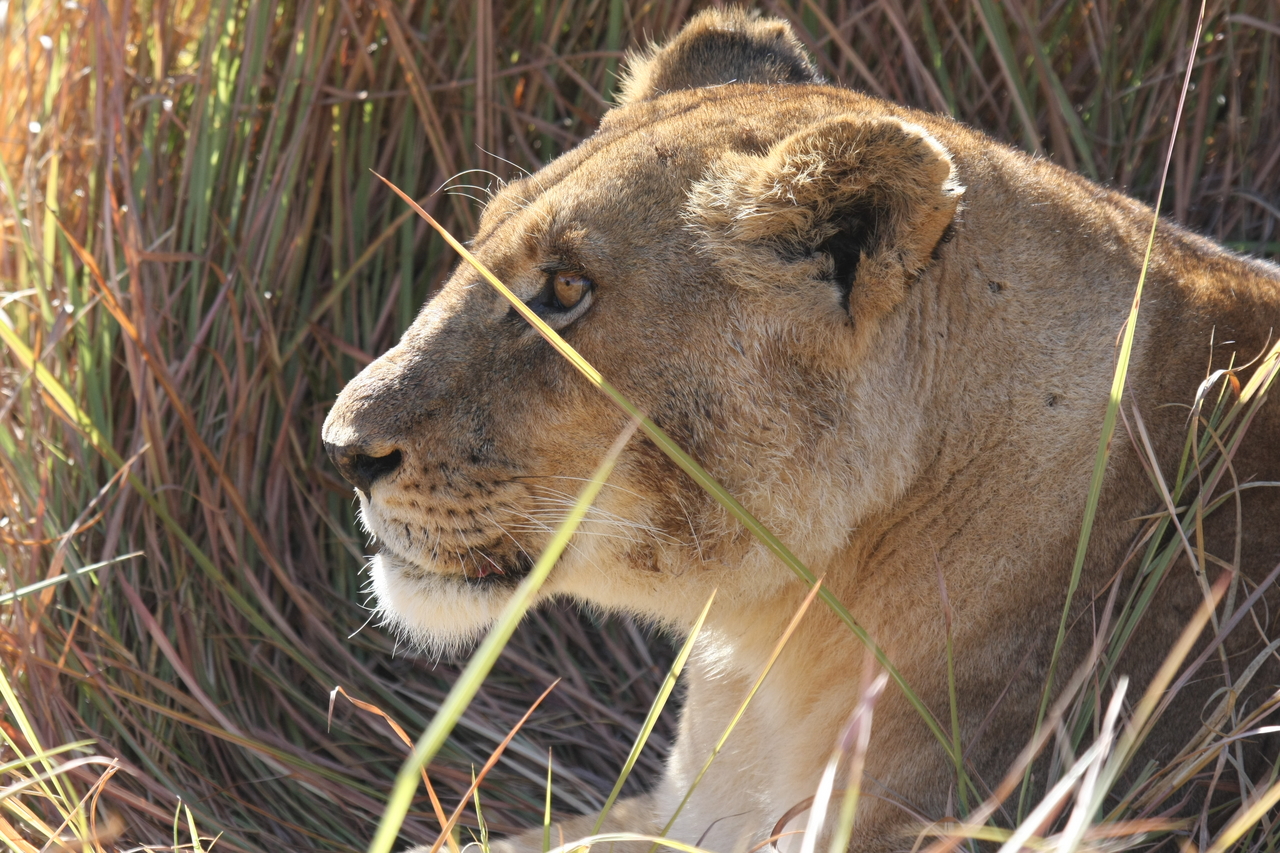 [18951] 2016_06_28_04_18_49_Africa_Canon_EOS_40D_IMG__10254.jpg