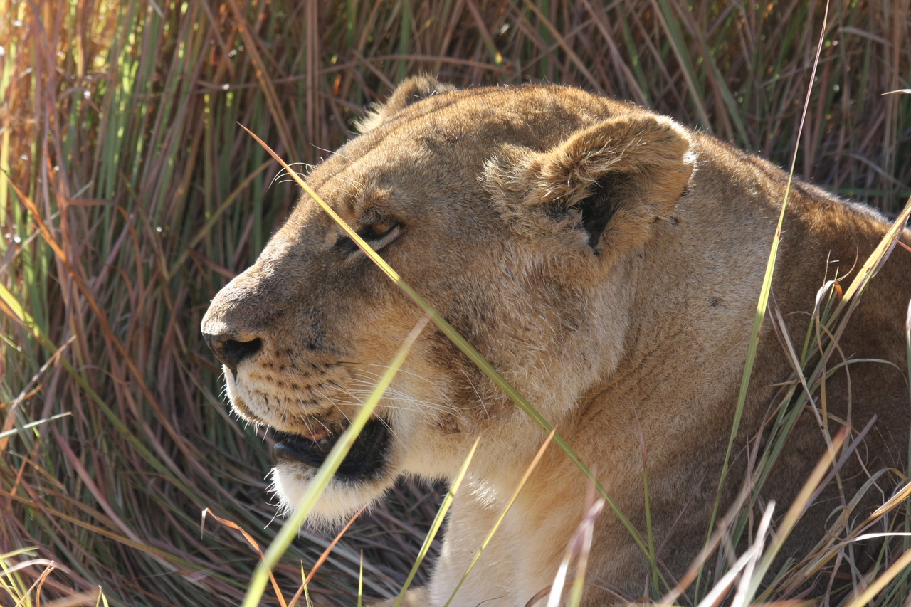 [18954] 2016_06_28_04_18_55_Africa_Canon_EOS_40D_IMG__00423.jpg