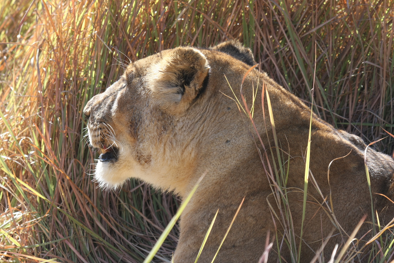 [18963] 2016_06_28_04_19_10_Africa_Canon_EOS_40D_IMG__00427.jpg