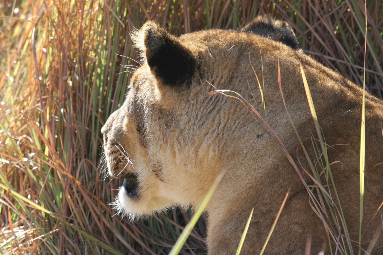 [19023] 2016_06_28_04_22_02_Africa_Canon_EOS_40D_IMG__10276.jpg