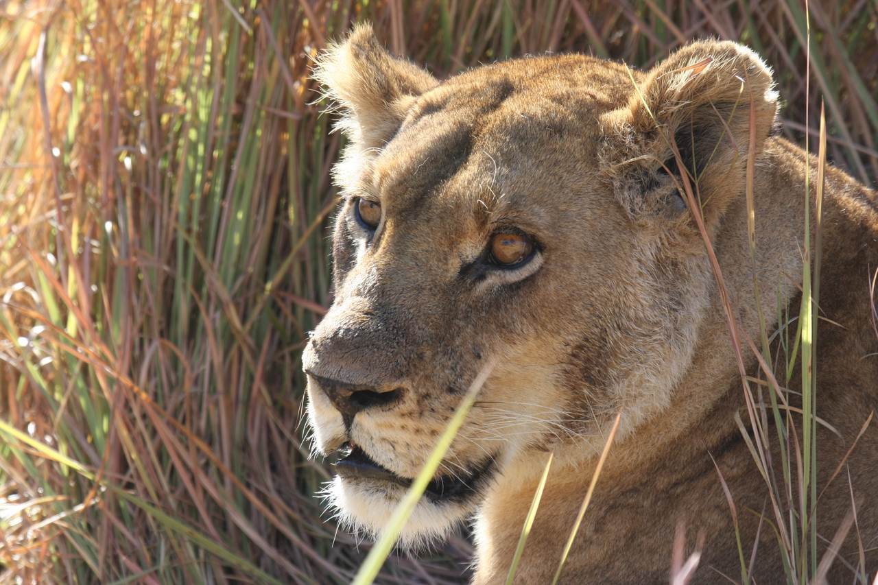 [19053] 2016_06_28_04_23_20_Africa_Canon_EOS_40D_IMG__10282.jpg