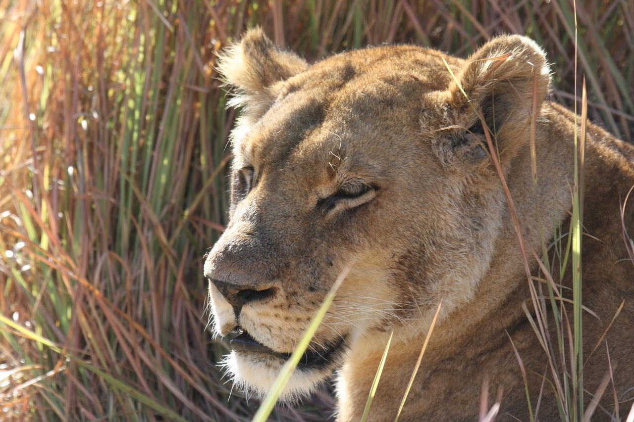 [19057] 2016_06_28_04_23_21_Africa_Canon_EOS_40D_IMG__02837.jpg