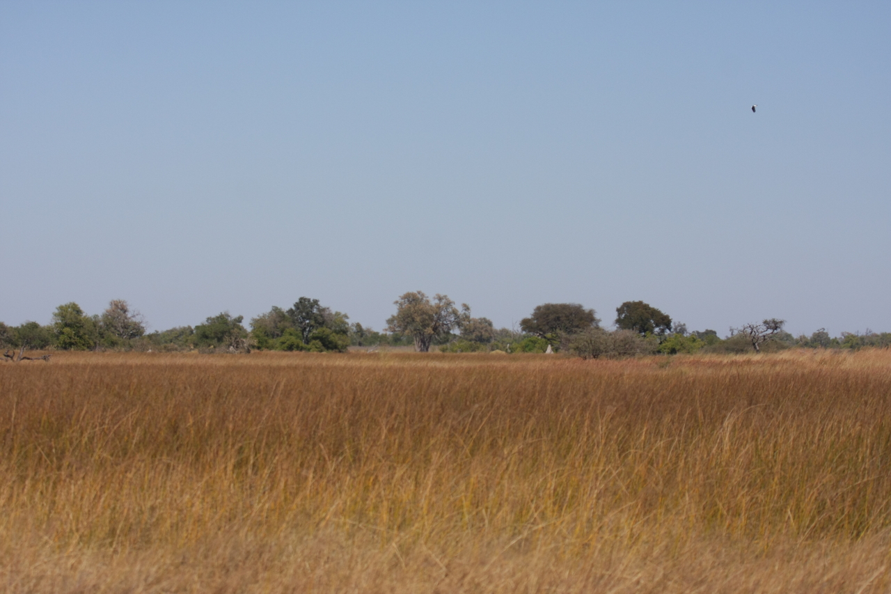 [19514] 2016_06_28_05_16_59_Africa_Canon_EOS_40D_IMG__00619.jpg