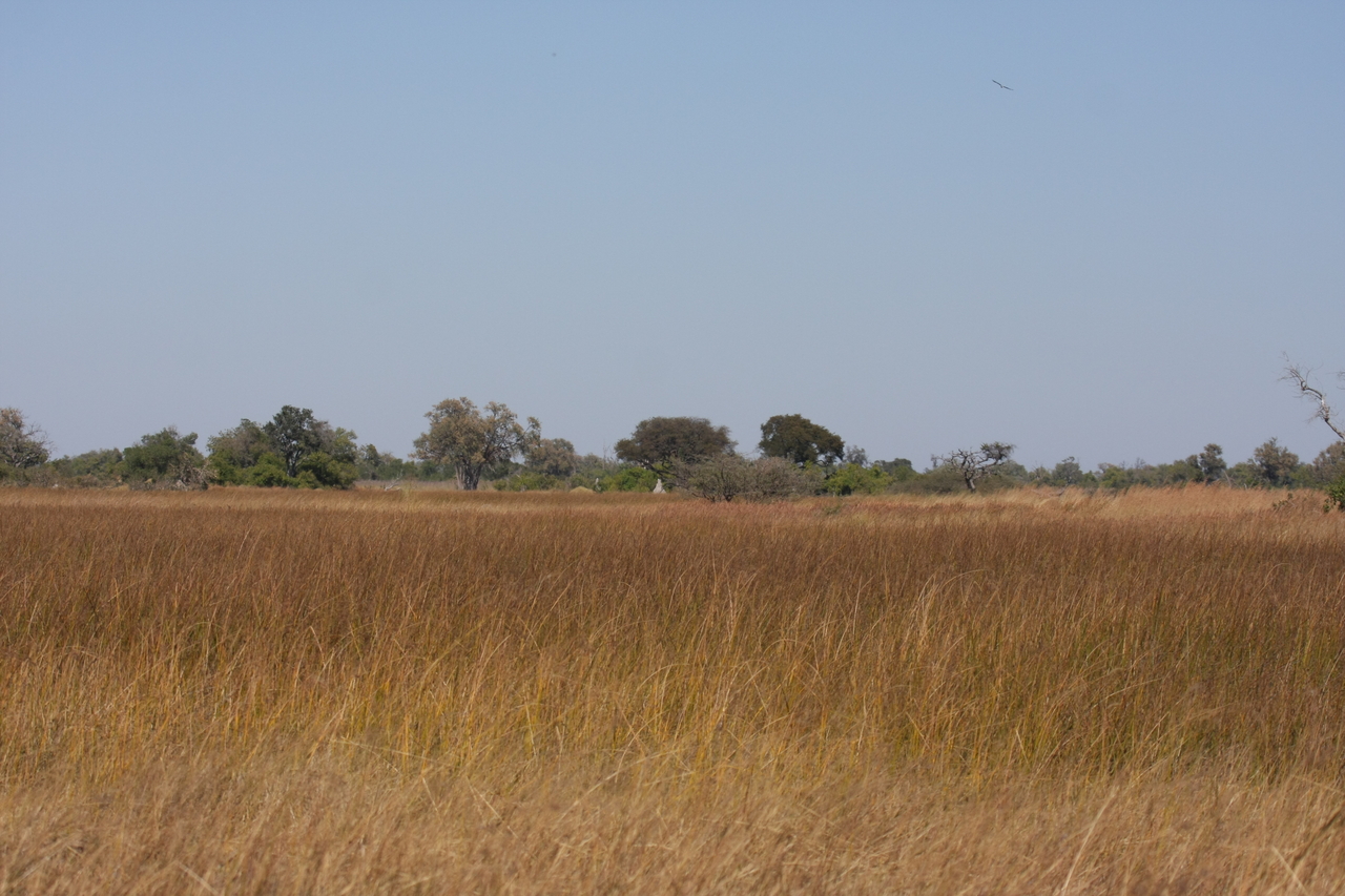 [19517] 2016_06_28_05_17_05_Africa_Canon_EOS_40D_IMG__00620.jpg